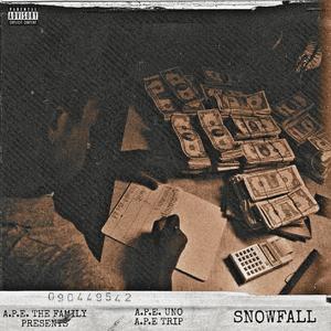 SNOWFALL (feat. A.P.E Trip) [Explicit]