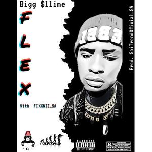 F.L.E.X (feat. Fiixxnizz_SA) [Explicit]