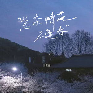 怎奈情花不逢春