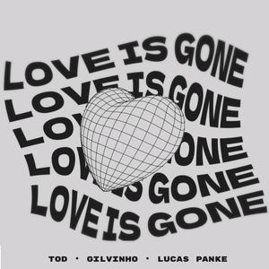Mega Funk Love Is Gone (Explicit)