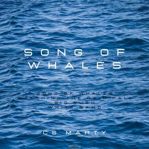 Song of Whales