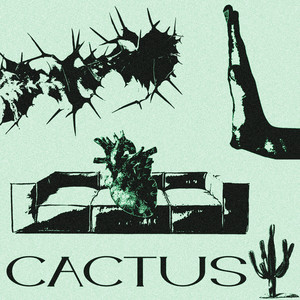 CACTUS (Explicit)