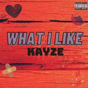 What I like (feat. Chris J Bo) [Explicit]