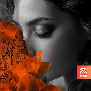 Another Love (Radio Edit) (Symphony Orchestra Version)