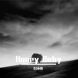 南征北战NZBZ-哈尼宝贝 (DJ小博 remix)