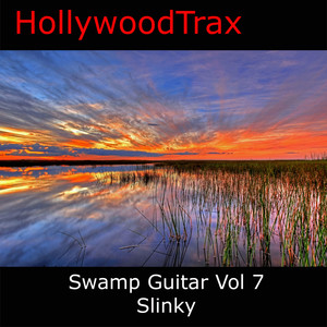 Swamp Guitar, Vol. 7: Slinky