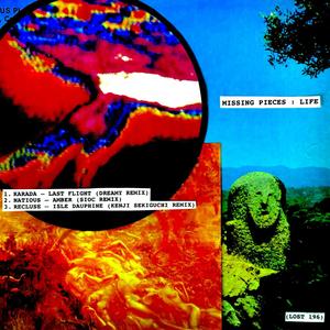 Last Flight (Dreamy Remix)