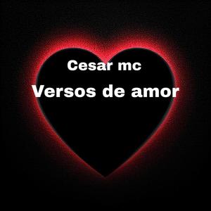 versos de amor