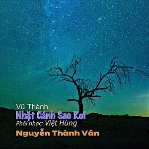 Nhặt Cánh Sao Rơi
