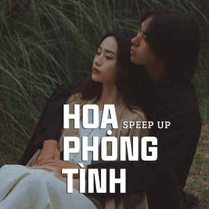 Họa Phong Tình (Speed up)
