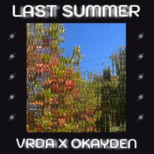 Last Summer (Loopsnake remix)