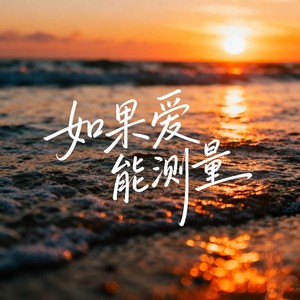 如果爱能测量