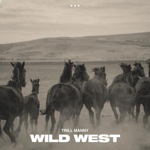 wild west (Explicit)