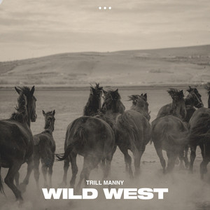 wild west (Explicit)