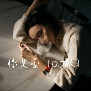 你的过去我不介意 (Remix)