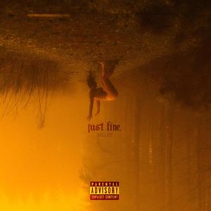 Just Fine (Explicit)