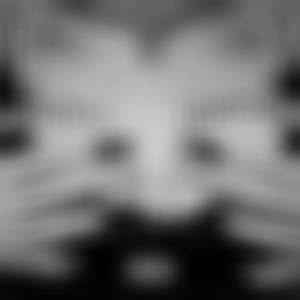 TOnOS GRisES (Prod. by Over A Mau) (Explicit)