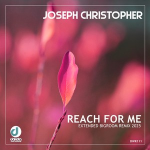 Reach for Me (Extended Bigroom Remix 2025)