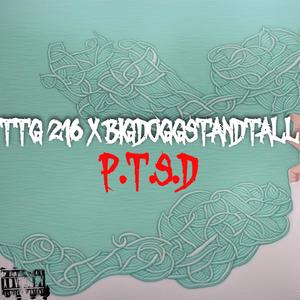 P.T.S.D (feat. Bigdoggstandtall) [Explicit]