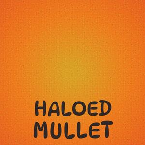 Haloed Mullet