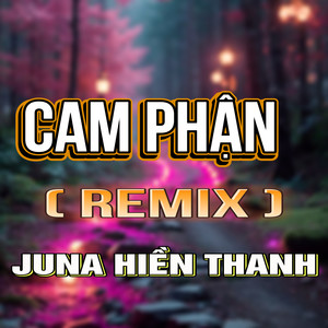 Cam Phận (HM Remix)