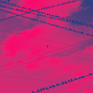 Chosen Few (Explicit)