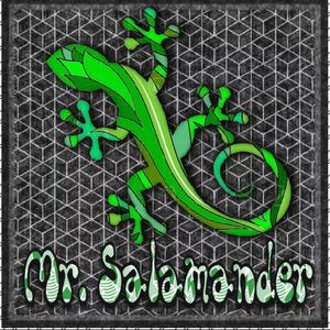 Mr. Salamander (feat. Jake Cinninger)