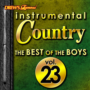 Instrumental Country: The Best of the Boys, Vol. 23