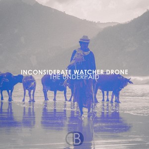 Inconsiderate Watcher Drone