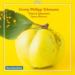 TELEMANN, G.P.: Chamber Music (Epoca Barocca)