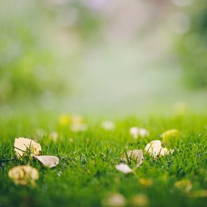 灵秀湖湘山水间 (Demo)