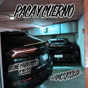 PACA Y CUERNO (Explicit)
