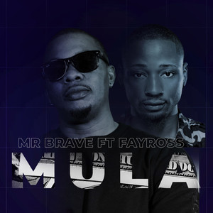 Mula