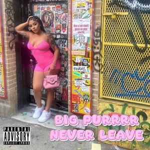 Never Leave (Explicit)