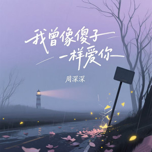 我曾像傻子一样爱你