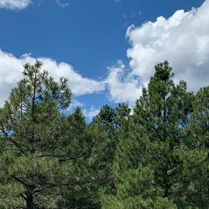 Im So Lost (Explicit)