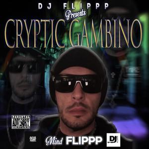 Mind Flippp (feat. DJ Flippp) (Explicit)