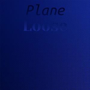 Plane Loose