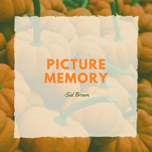 Picture Memory