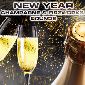 New Year Champagne & Fireworks Sounds (feat. Christmas Relaxing Sounds, Christmas Blizzard Fireplace Sounds, Champagne Pouring Sounds, Weekend Mode Sounds & Outdoor Dining Sounds)