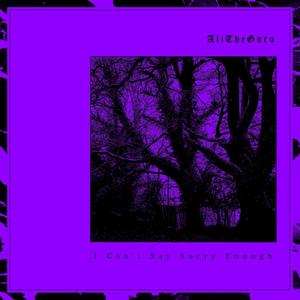 I Can't Say Sorry Enough