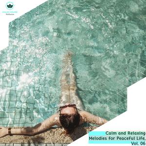 Calm And Relaxing Melodies For Peaceful Life, Vol. 06