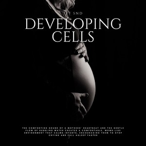 Developing Cells