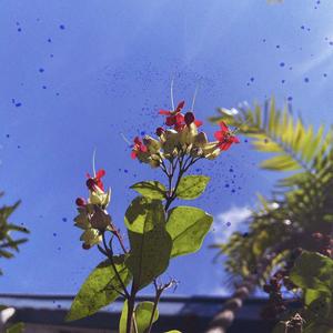 Adore U (feat. Jake Vejerano)