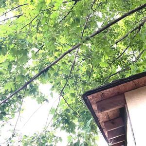 show me, luv! (Explicit)