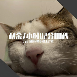 剩余7小时02分08秒