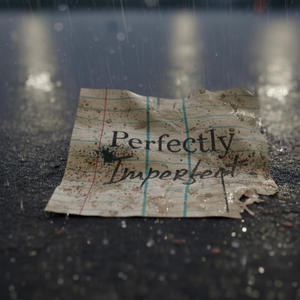 Perfectly Imperfect (Explicit)