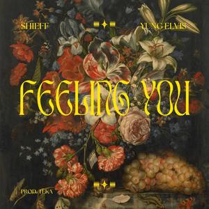 FEELING YOU (feat. Yung Elvis & Teka G) [Explicit]