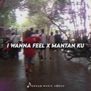 I wanna feel x Mantan ku