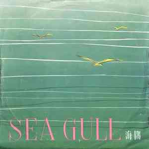 海鸥海鸥